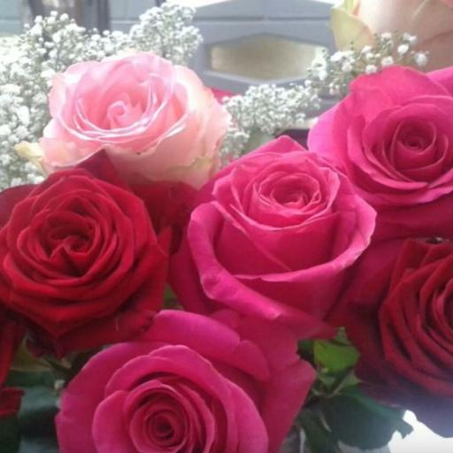 beatner - babushka i mama (klyuchik dobroty) - roses